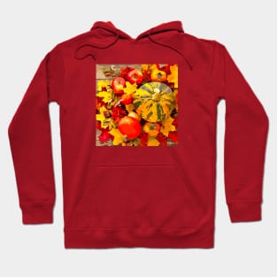 Autumn Harvest Hoodie